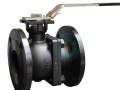 Кран шаровой чугун R740F Ду 25 Ру16 фл полнопроходной рукоятка Тмакс=120 оС Giacomini R740FLY002
