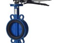 Затвор дисковый поворотный чугун 2010H Ду 125 Ру16 межфл с рукояткой диск чугун манжета EPDM EURO Benarmo