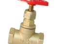Клапан запорный латунь 15б1п Ду 15 Ру16 ВР прямой ТУ РБ 500059277.015-2000 Цветлит ZW20005